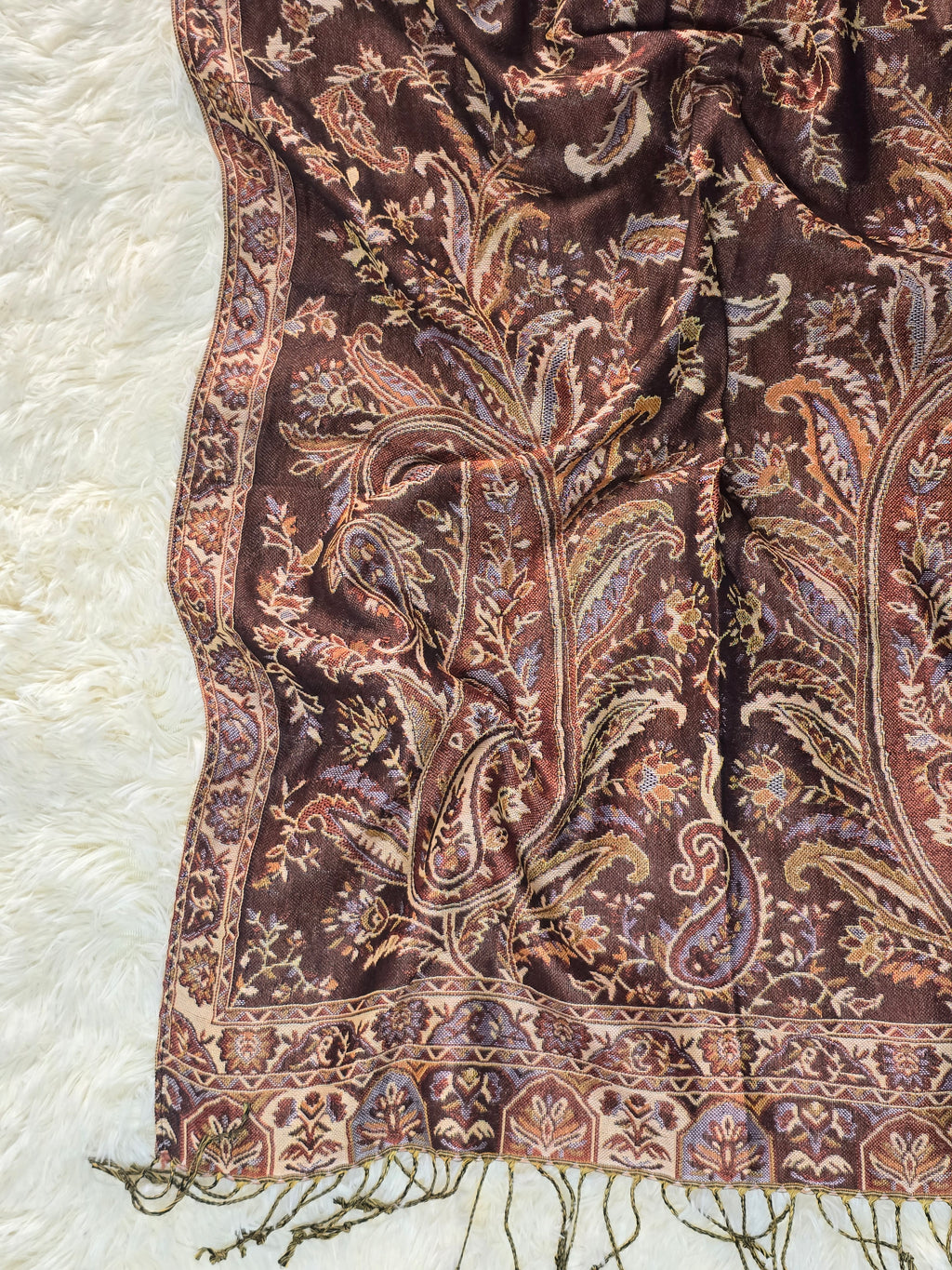 Chocolate Brown Pashmina