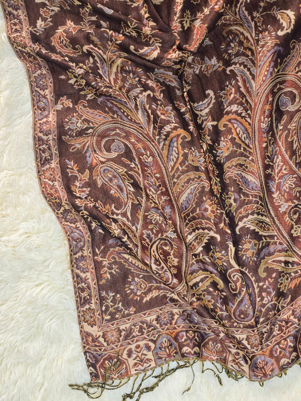 Chocolate Brown Pashmina
