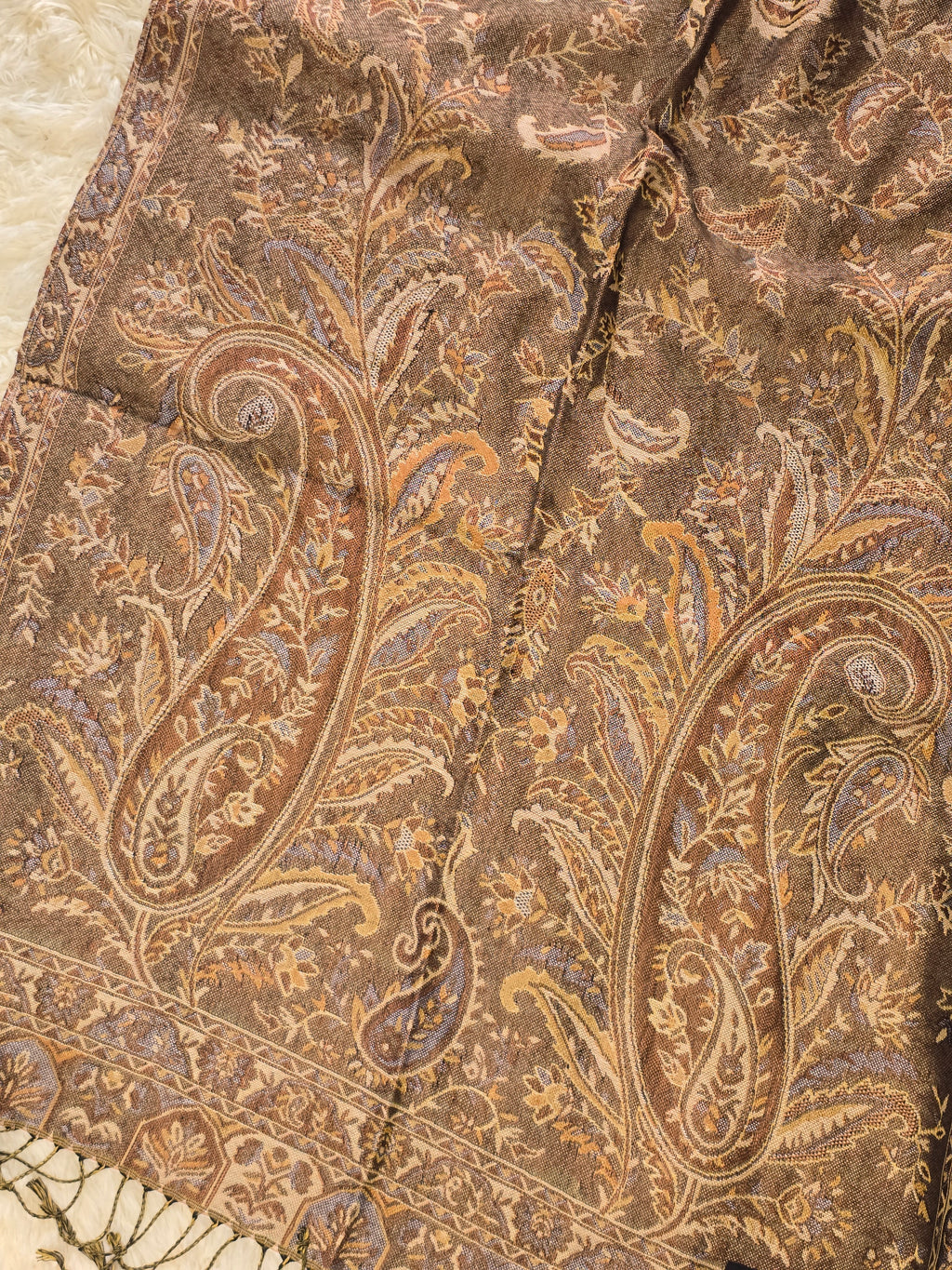 Greyish Brown Pashmina
