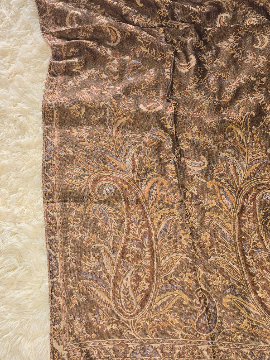 Greyish Brown Pashmina